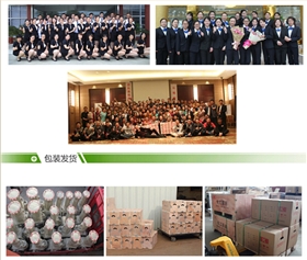 耐腐蝕塑料離心泵廠家團(tuán)隊圖片